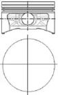 WILMINK GROUP wg1094059 -  